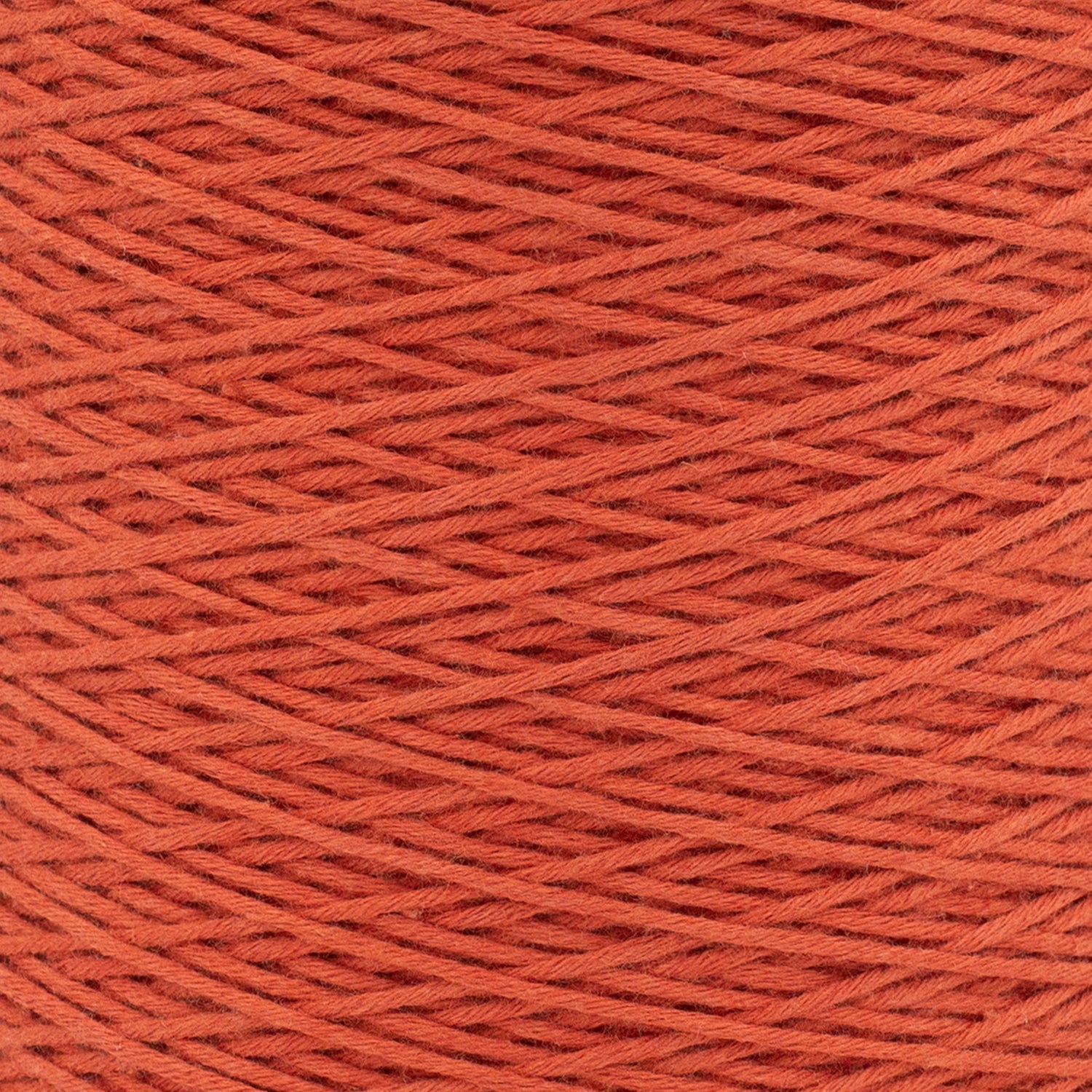 swatch-hidden__Persimmon