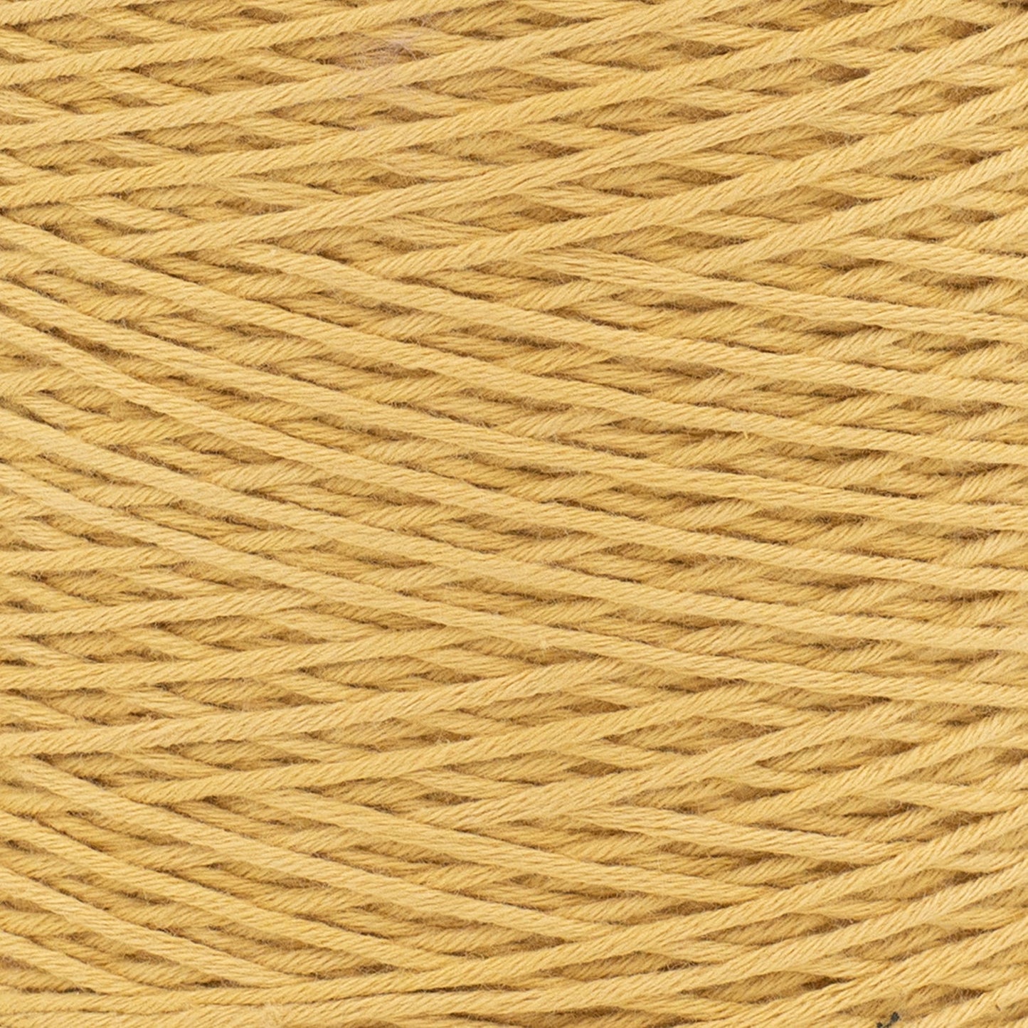 swatch-hidden__Honey