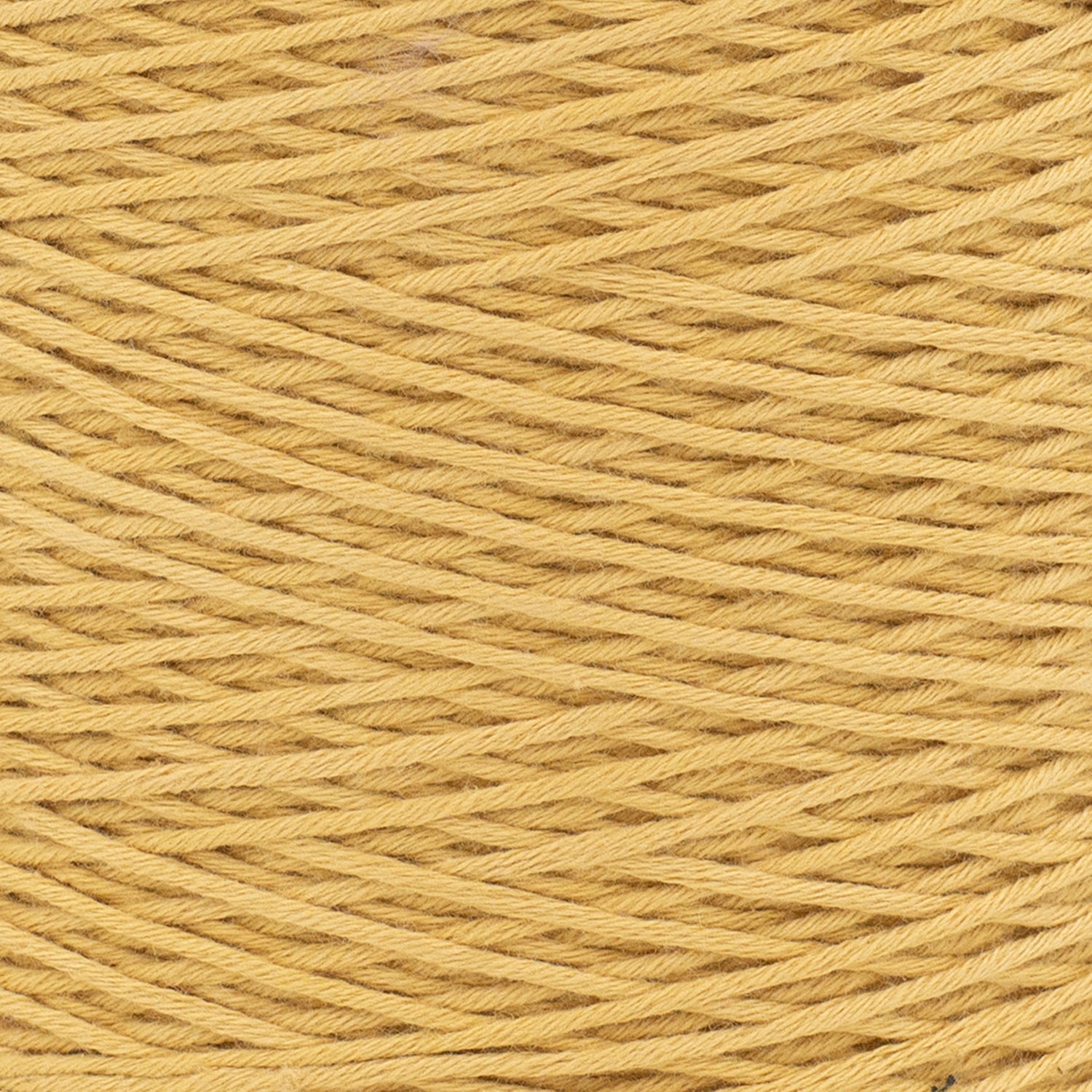 swatch-hidden__Honey