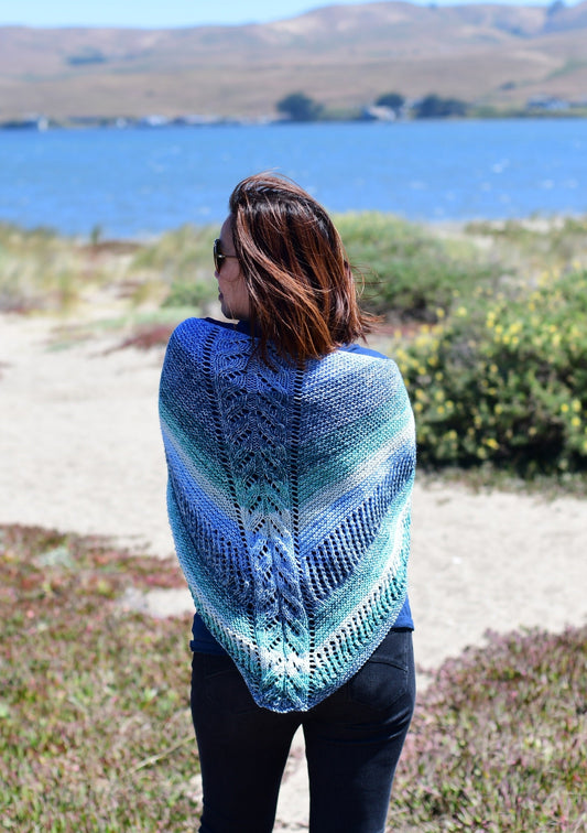 Knit Kit - My First Knit Shawl