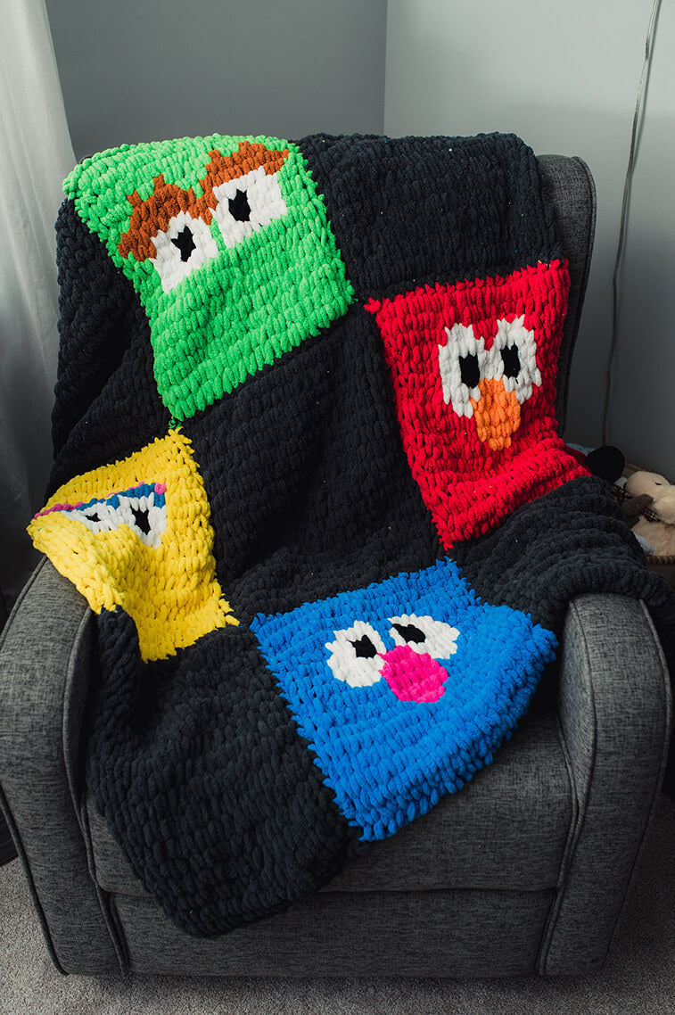 Sesame Friends Patchwork Afghan (Crafts)